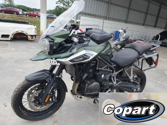 TRIUMPH TIGER 19/19