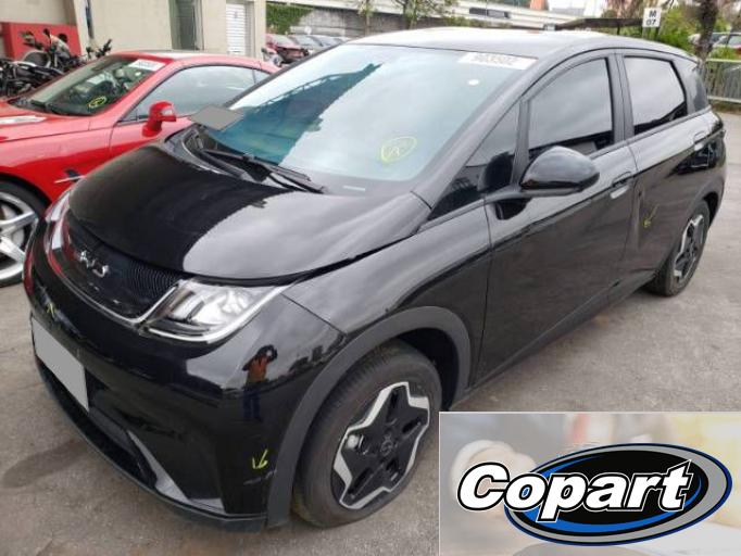 BYD DOLPHIN 23/23