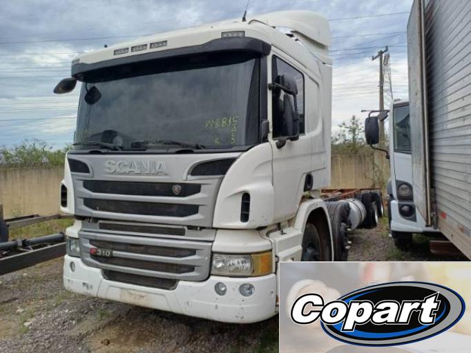 SCANIA P 310 18/19