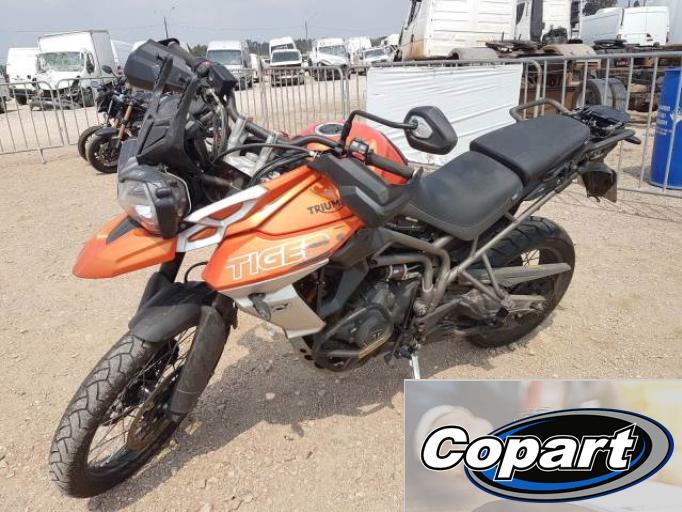 TRIUMPH TIGER 19/20