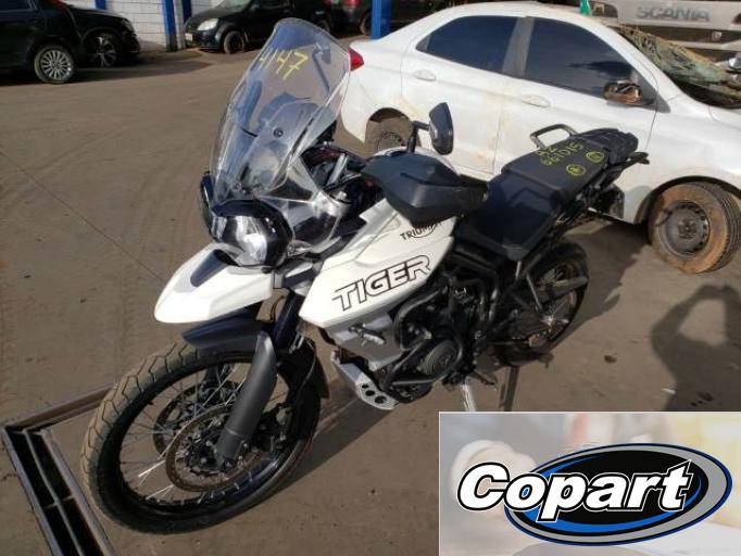 TRIUMPH TIGER 20/20