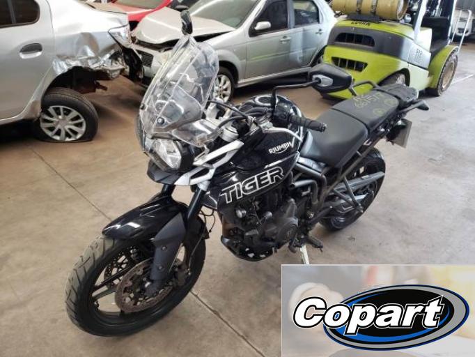 TRIUMPH TIGER 19/19