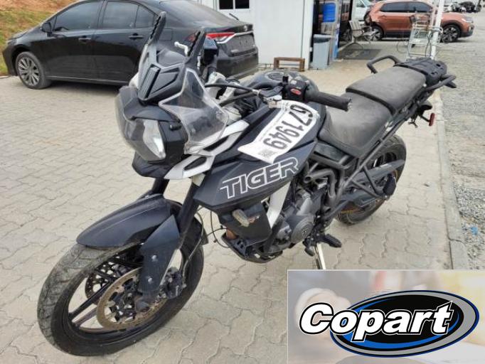 TRIUMPH TIGER 18/18